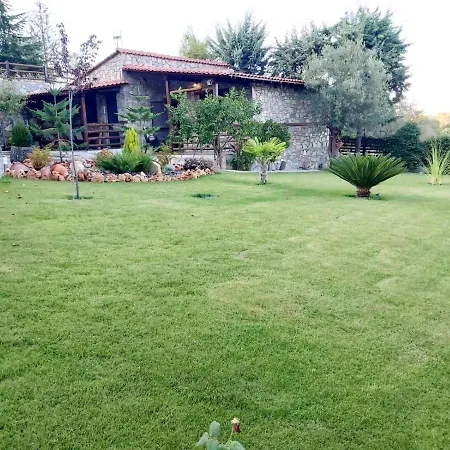 Dimitris - 4 *