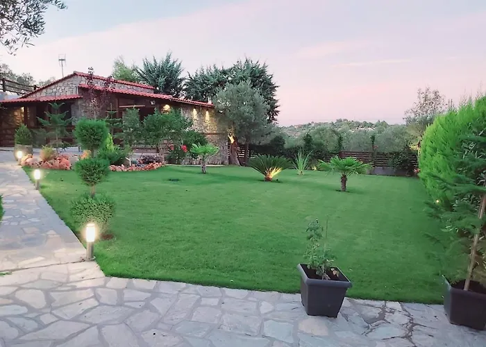 Dimitris - 4 奥马斯帕纳吉亚斯