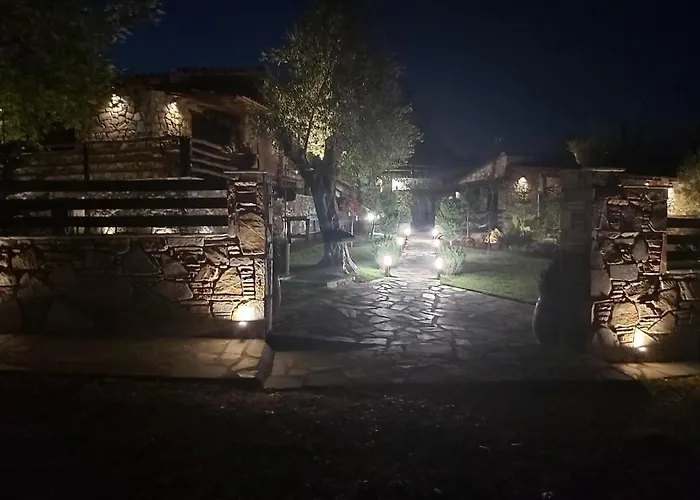 Dimitris - 4 奥马斯帕纳吉亚斯