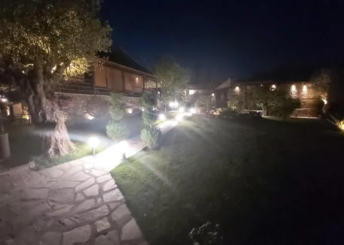 Dimitris - 4 奥马斯帕纳吉亚斯